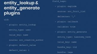 sample entity look up and entity generate plugins YML config